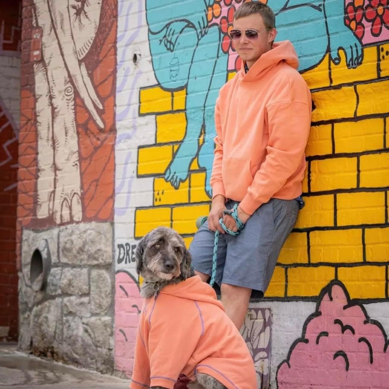 Blueberry Pet Dog Hoodie – 18″ Soft Cotton‑Blend Sweatshirt with Hood, Award‑Winning Small‑Dog Jacket, Machine‑Washable