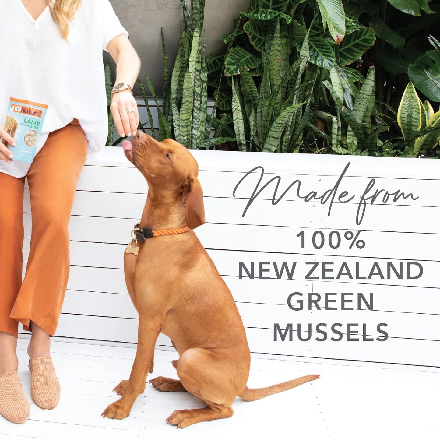 K9 Natural, Freeze-Dried Single Ingredient Dog Treats, High-Value, Low-Calorie Protein Bites for Active Dogs, Healthy Dog Training Treats, Grain-Free Reward, Green Mussles, 1.76oz (Pack of 2)