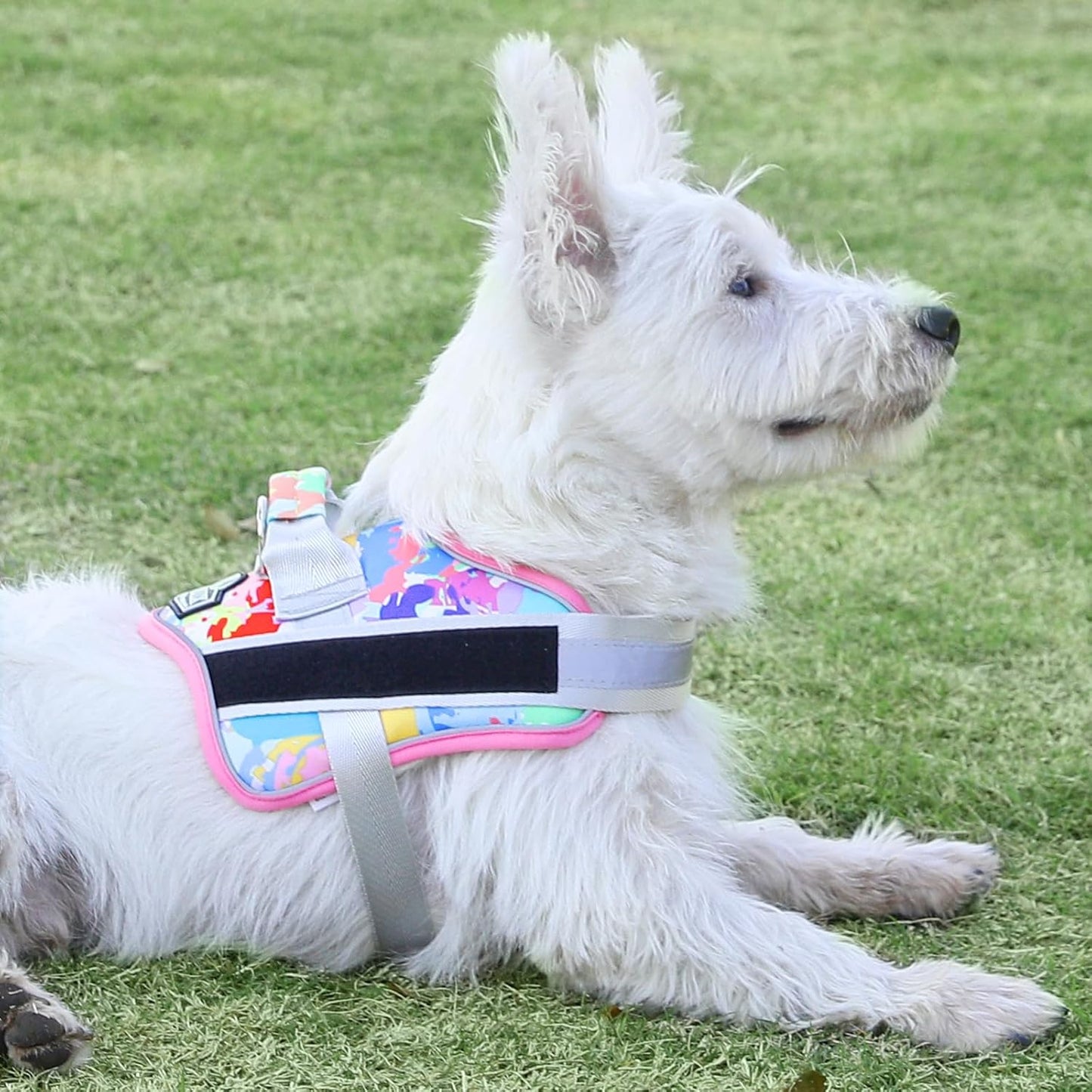 Bolux Dog Harness, No-Pull Reflective Dog Vest, Breathable Adjustable Pet Harness with Handle for Outdoor Walking - No More Pulling, Tugging or Choking (XX-Large (Pack of 1), OilPainting)