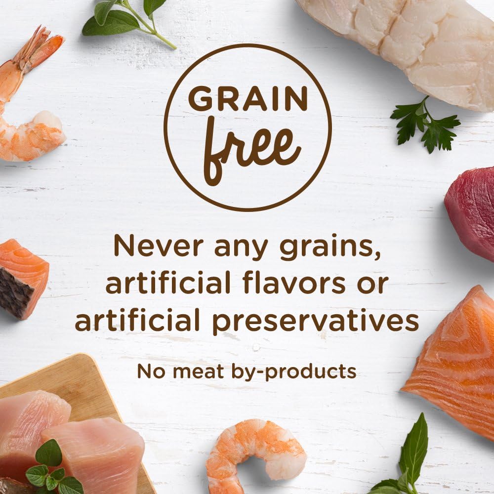 Rachael Ray Nutrish Natural Premium Wet Cat Food, Chicken Purrcata, 2.8 Ounce Tub (Pack of 12), Grain Free