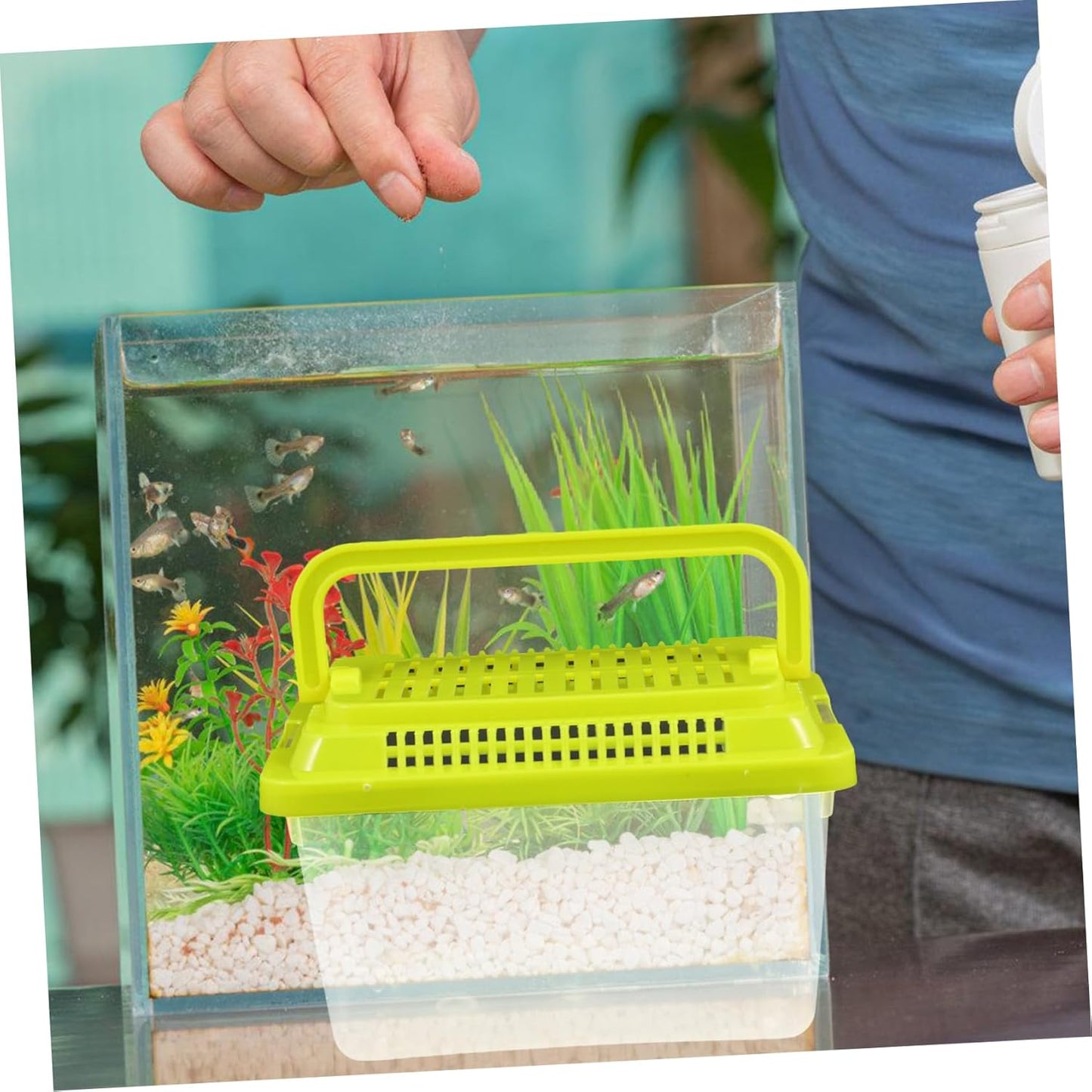 Transparent Plastic Turtle Fish Tank, Reptile Carrier, Feeding Tank, Glass Containers, Amphibia Container, Terrarium, Hamster Cages, Reptiles Commodity Mini