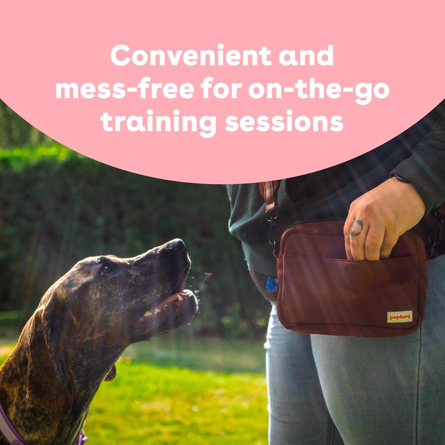 Pupford Freeze Dried Training Treats for Dogs & Puppies, 225+ Two Ingredient Bites (Salmon, 2 oz)