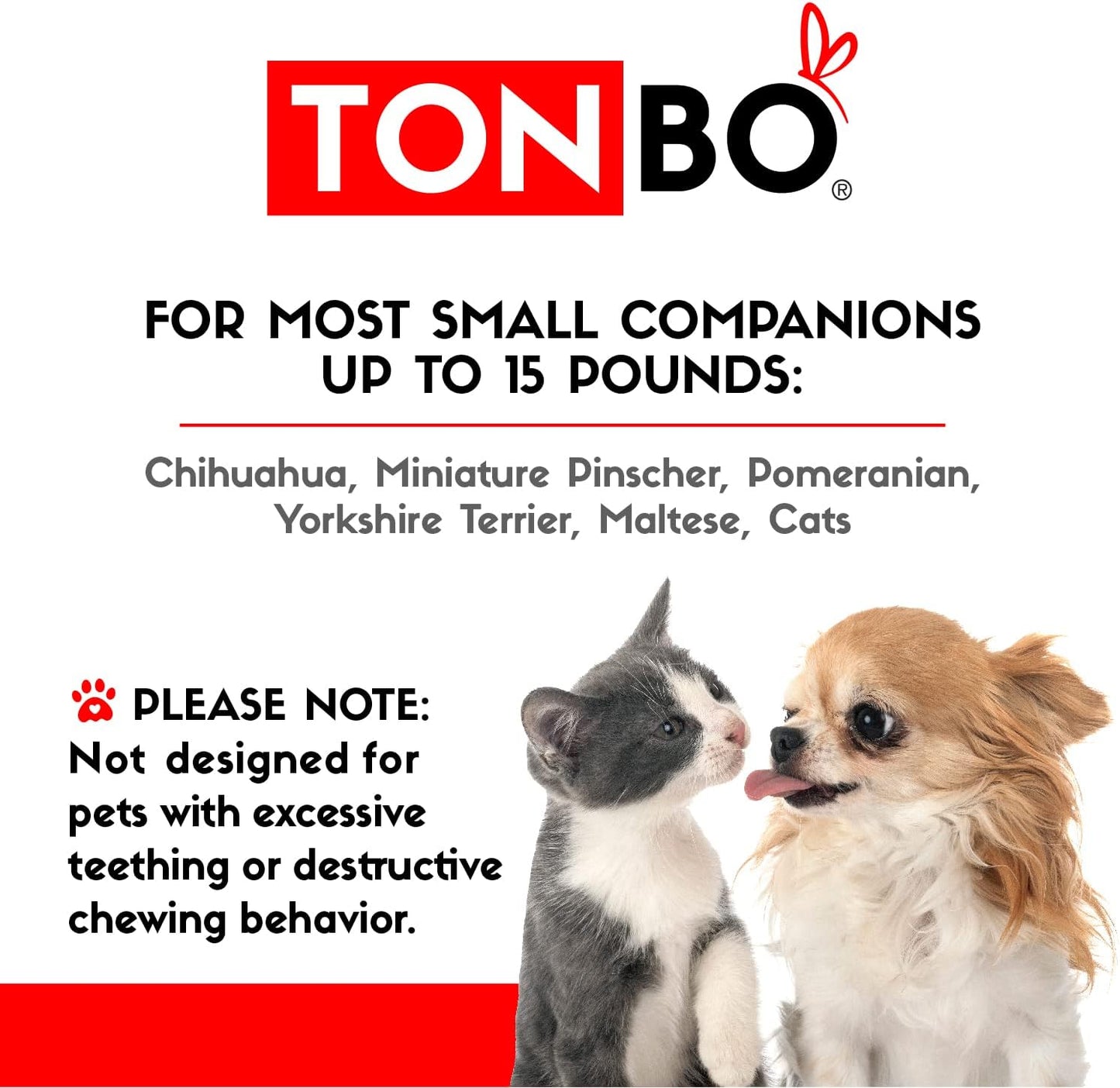 TONBO Soft Plush Small Cute and Cozy Food Dog Cat Bed, Washer and Dryer Friendly (Avocado Toast)