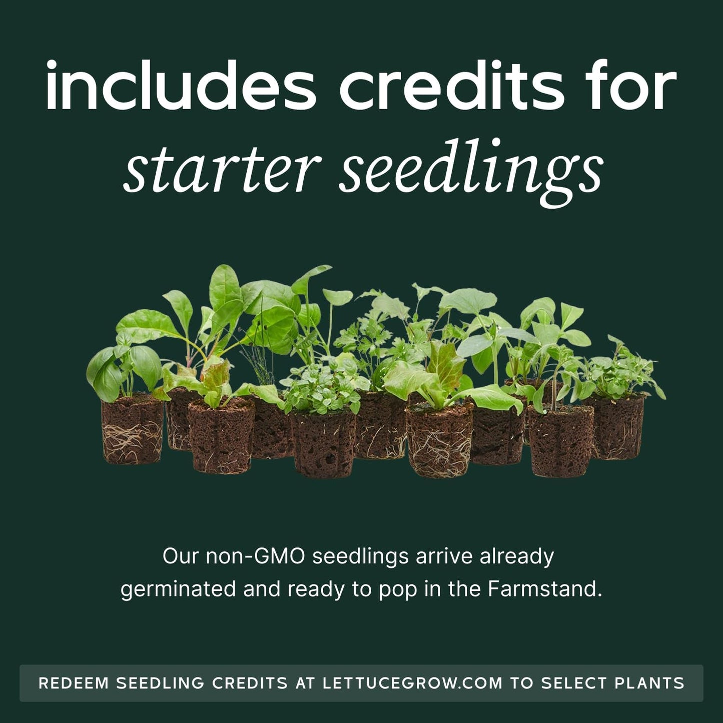 Farmstand Starter Kit with Glow Rings and 24 Seedling Credits | Medium Hydroponic Growing System Kit | Vertical Garden Planter Tower | 4ft 10in Tall