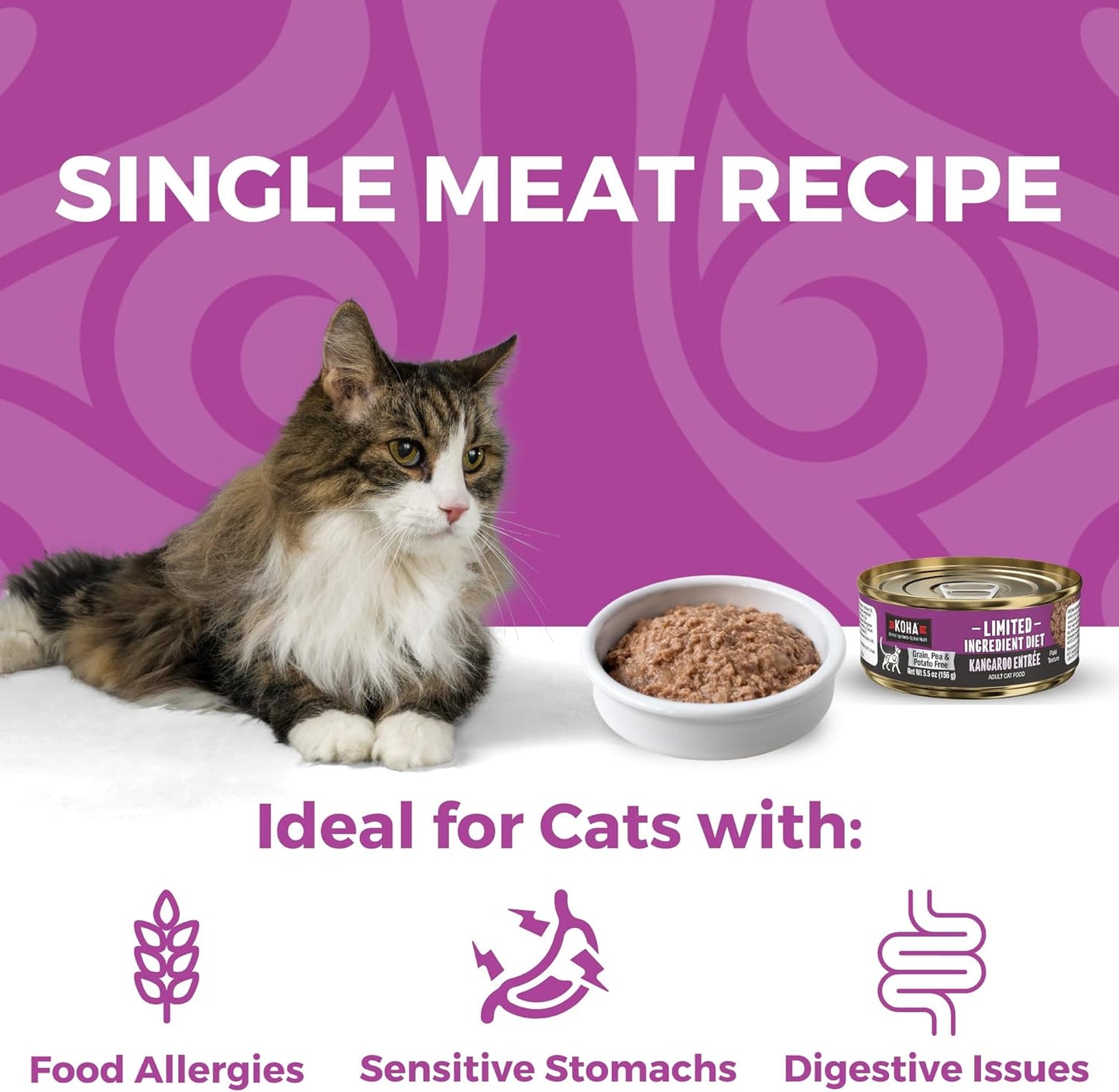KOHA Limited Ingredient Diet Kangaroo Pate for Cats - Single Meat Cat Food for Sensitive Stomachs - Pate Kangaroo Cat Food with No Fillers, 5.5 oz - Trial Pack (3 Cans)