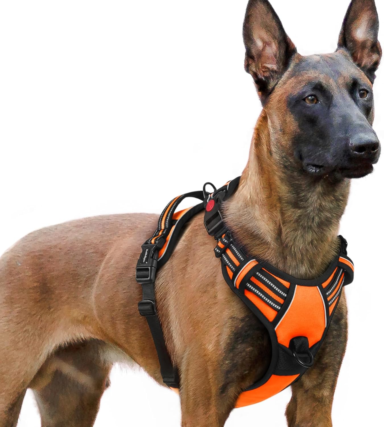 rabbitgoo Dog Harness for Large, No Pull Pet Harness with 3 Buckles, Adjustable Soft Padded Vest with Control Handle, Walking Reflective Pet Vest for Extra Large Dogs, Orange, XL
