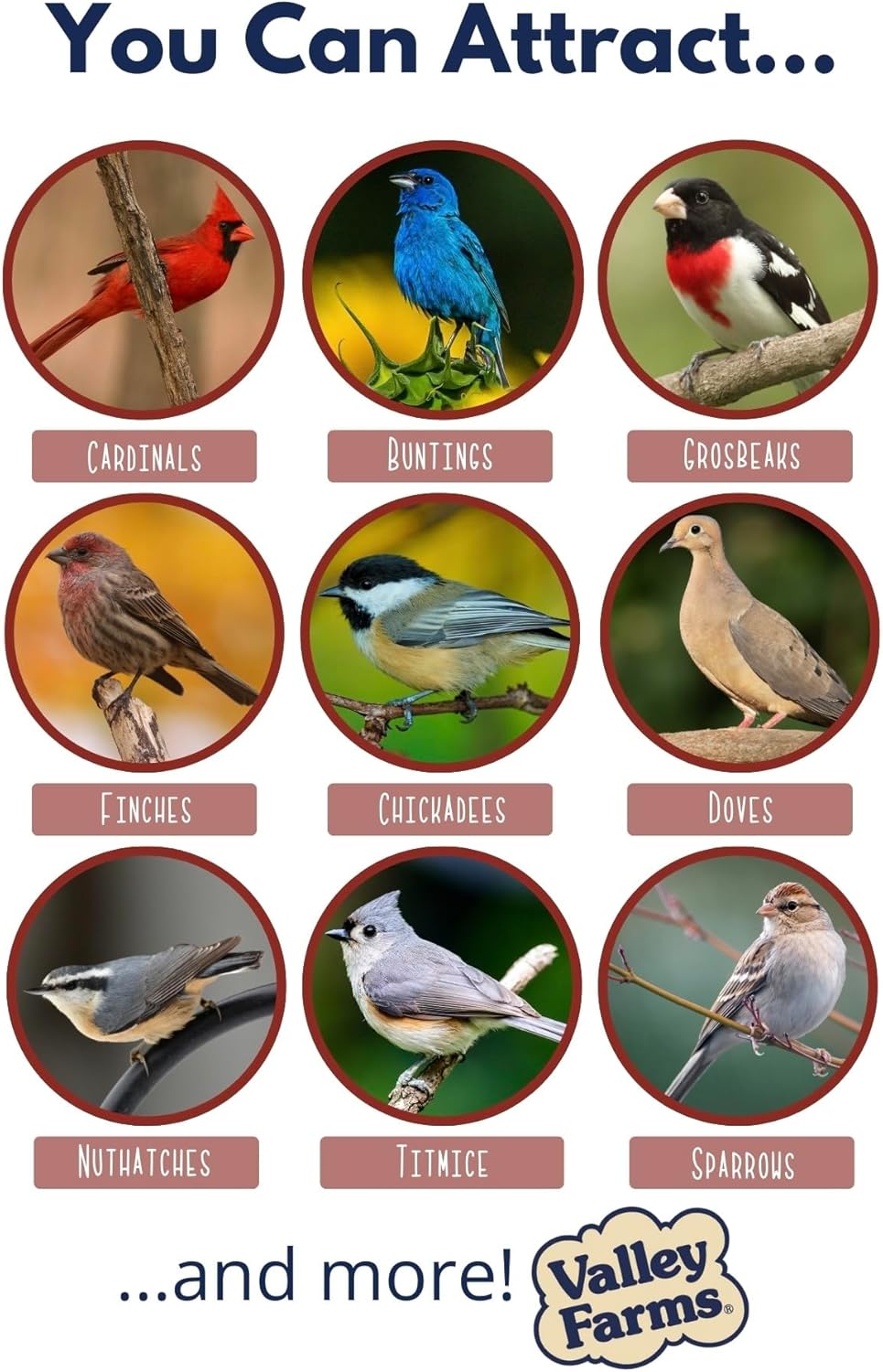 Valley Farms Cardinal Mix 3 LB 2-Pack (6 LB Total) Wild Bird Food for Outside Feeders, Cardinal Bird Seed with Black Oil Sunflower Seeds and Safflower Seeds, Attract a Variety of Wild Birds