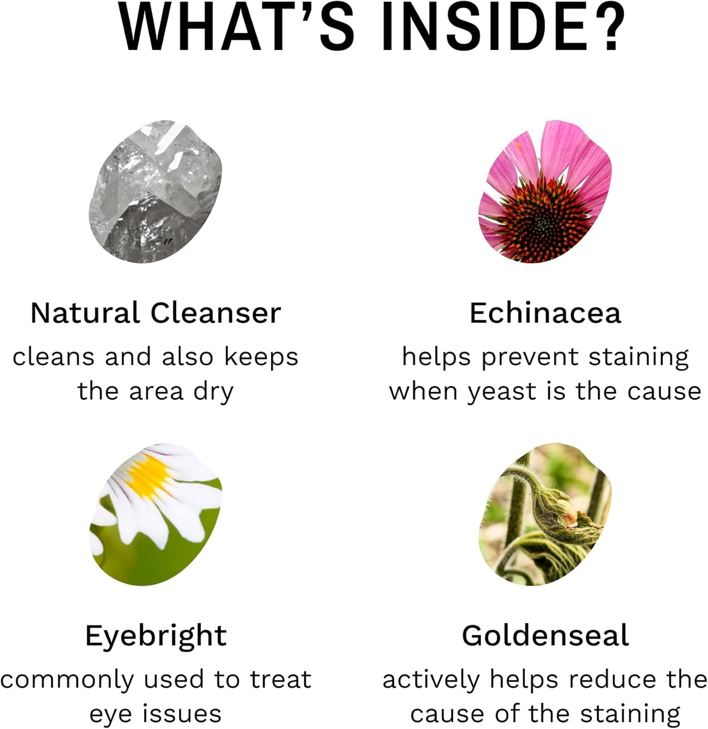 Eye Envy Tear Stain Remover Powder for Dogs and Cats. 100% Natural, Safe. Apply Around Eyes. Absorbs and Repels Tears. Keeps Area Dry. Treats The Cause of Staining. Made in The USA (2.5 oz)