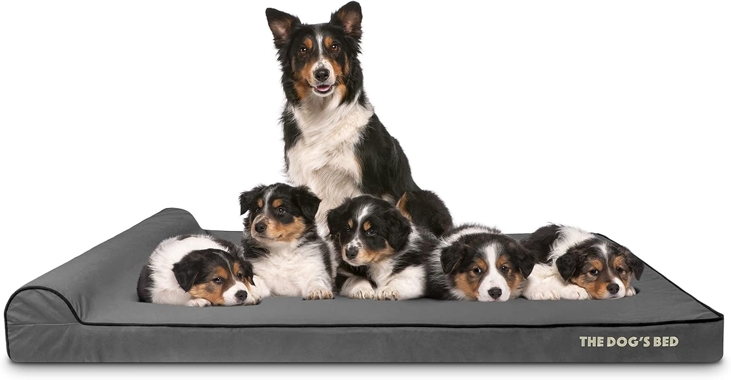 The Dog’s Bed Orthopedic Headrest Dog Bed XXXL Grey/Black 64x44, Memory Foam, Pain Relief for Arthritis, Hip & Elbow Dysplasia, Post Surgery, Lameness, Veterinary Approved, Waterproof Washable Cover