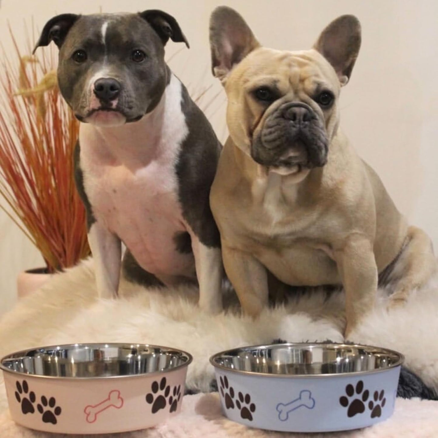 Loving Pets Bella Dog Bowls- Stainless Steel Dog & Cat Bowls - Spill Proof Dog Food Bowl, Cat Bowl, Puppy Essentials & Pet Supplies Great for Home & Travel (Medium 20-25 lbs, Paparazzi Pink)