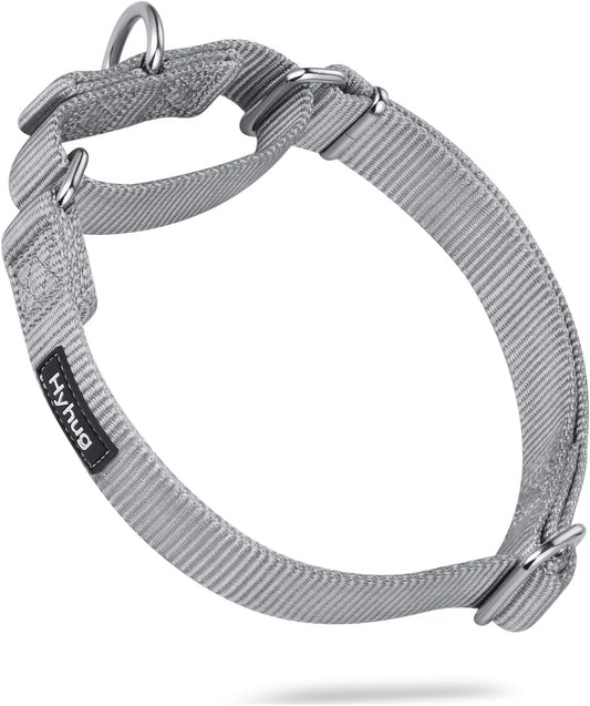 Hyhug Pets Premium Upgraded Heavy Duty Nylon Anti-Escape Martingale Collar for Large Boy and Girl Dogs Comfy and Safe - Professional Training, Daily Use Walking. (Large, Sleet Gray)