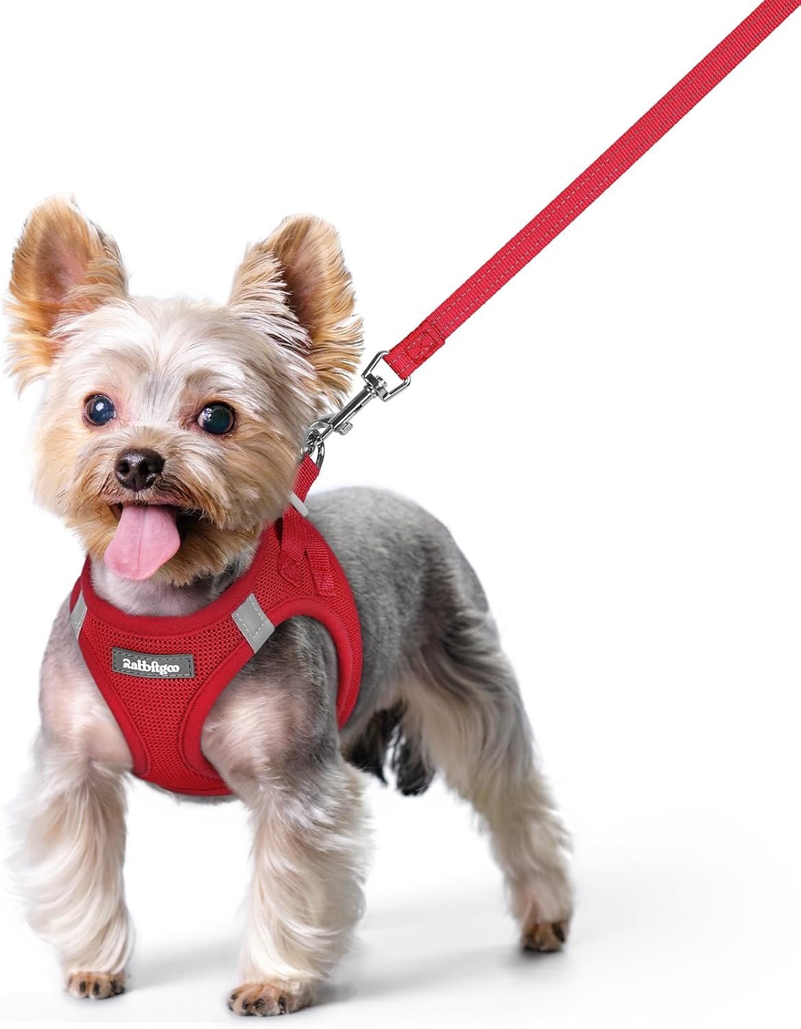 rabbitgoo Dog Harness Small Sized and Leash Set, Step in Soft Light Puppy Vest, Breathable Mesh Pet Harness, Reflective for Safe Easy Walking, Red XS