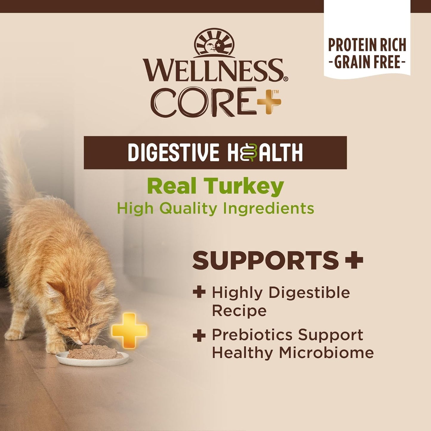 Wellness CORE+ Digestive Health Pate Adult Wet Cat Food, Natural, Protein-Rich, Grain Free, 3 Ounce, 12 Pack (Turkey)