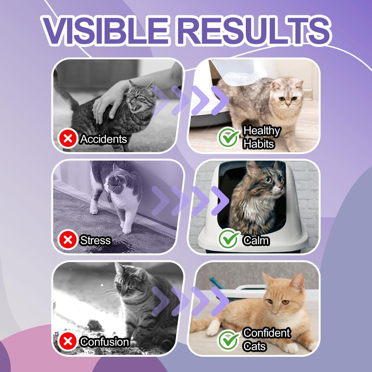 Cat Litter Training Spray – 150ml Natural Attractant for Cats & Kittens – Helps Guide Proper Litter Box Use – Indoor Toilet Training Aid