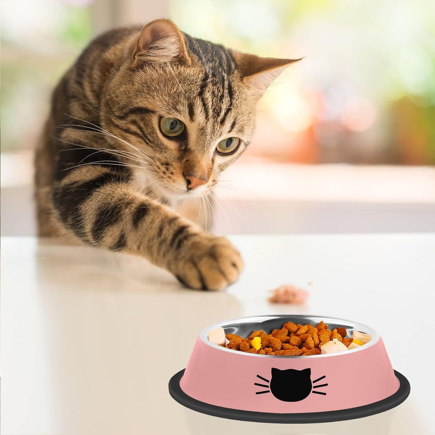 2Pcs Cat Bowls Non-Slip Stainless Steel Small Cat Food Bowls Unbreakable Thicken Cat Feeder 7 Oz Cat Dishes Suitable for Indoor Small Pets Removable Rubber Base Easily Clean Lovely Color