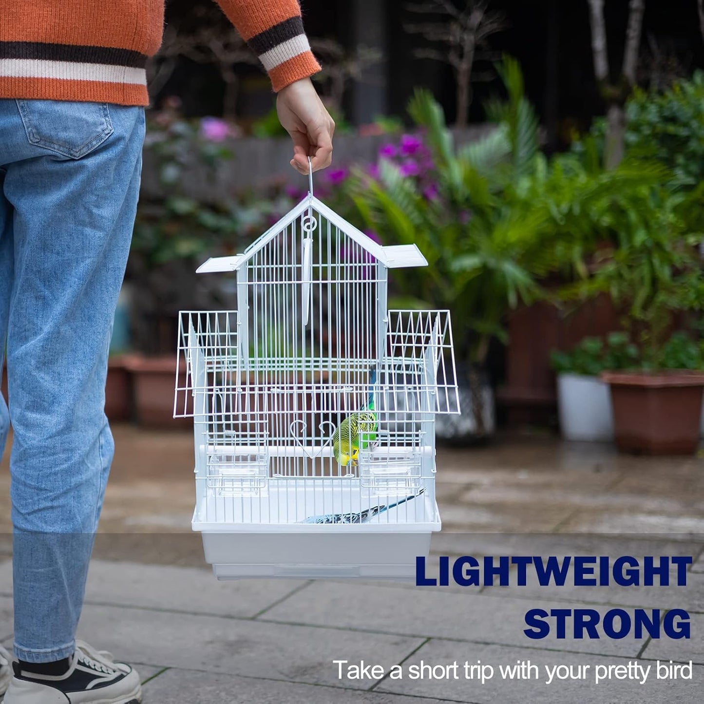 Small Bird Travel Cage - The Lightweight Small Birds Starter Kit with Birdcages and Accessories Great for Parakeets Lovebirds Parrotlets Finches Canaries