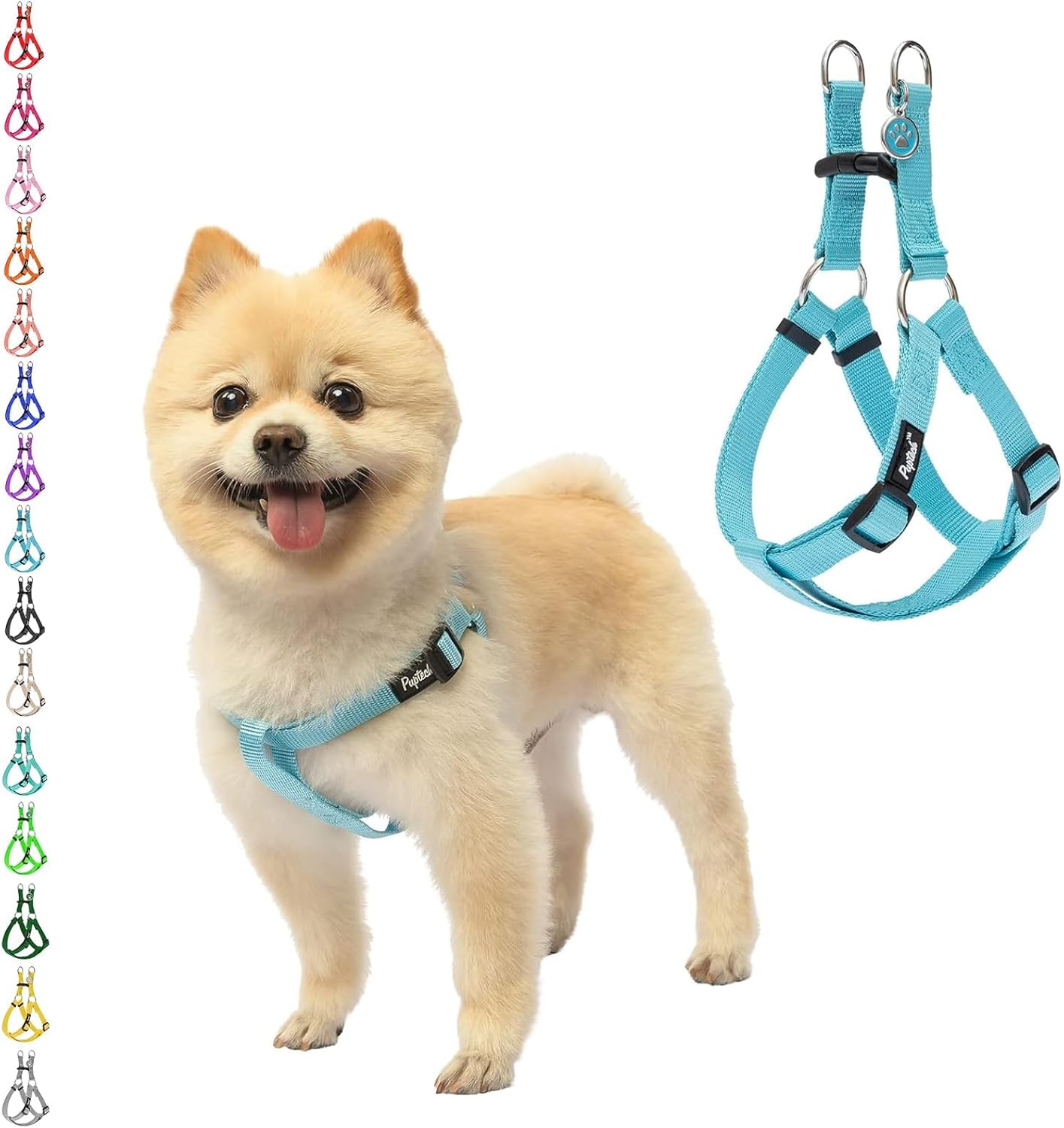 PUPTECK No Pull Dog Harness Soft Adjustable Basic Nylon Step in Puppy Vest Outdoor Walking with ID Tag, SkyBlue, XS