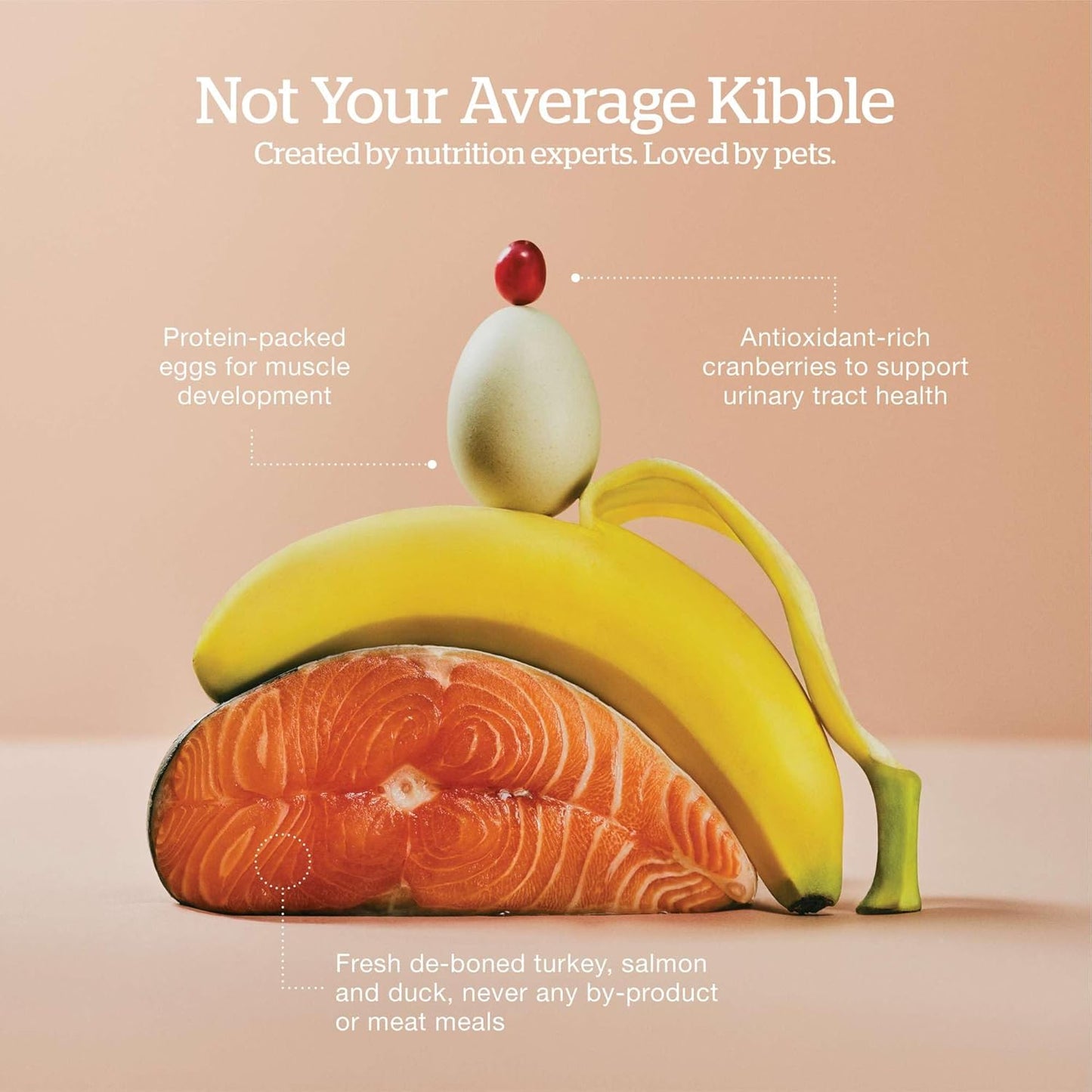 Now Fresh Grain-Free Dry Cat Food with Turkey, Salmon & Duck, Healthy Kibble for Adults Made with Real Meat & Fish, Chicken-Free, with Pumpkin & Probiotics for Sensitive Stomachs, 8 lb Bag