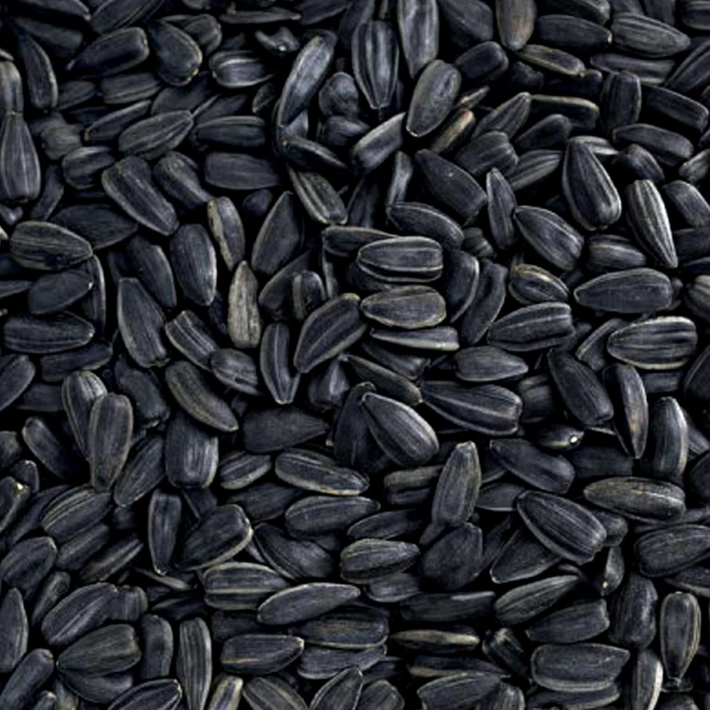 Black Oil Sunflower Seeds Wild Bird Food- 15 Pounds | No Grow Seed | Bird Seed for Wild Birds