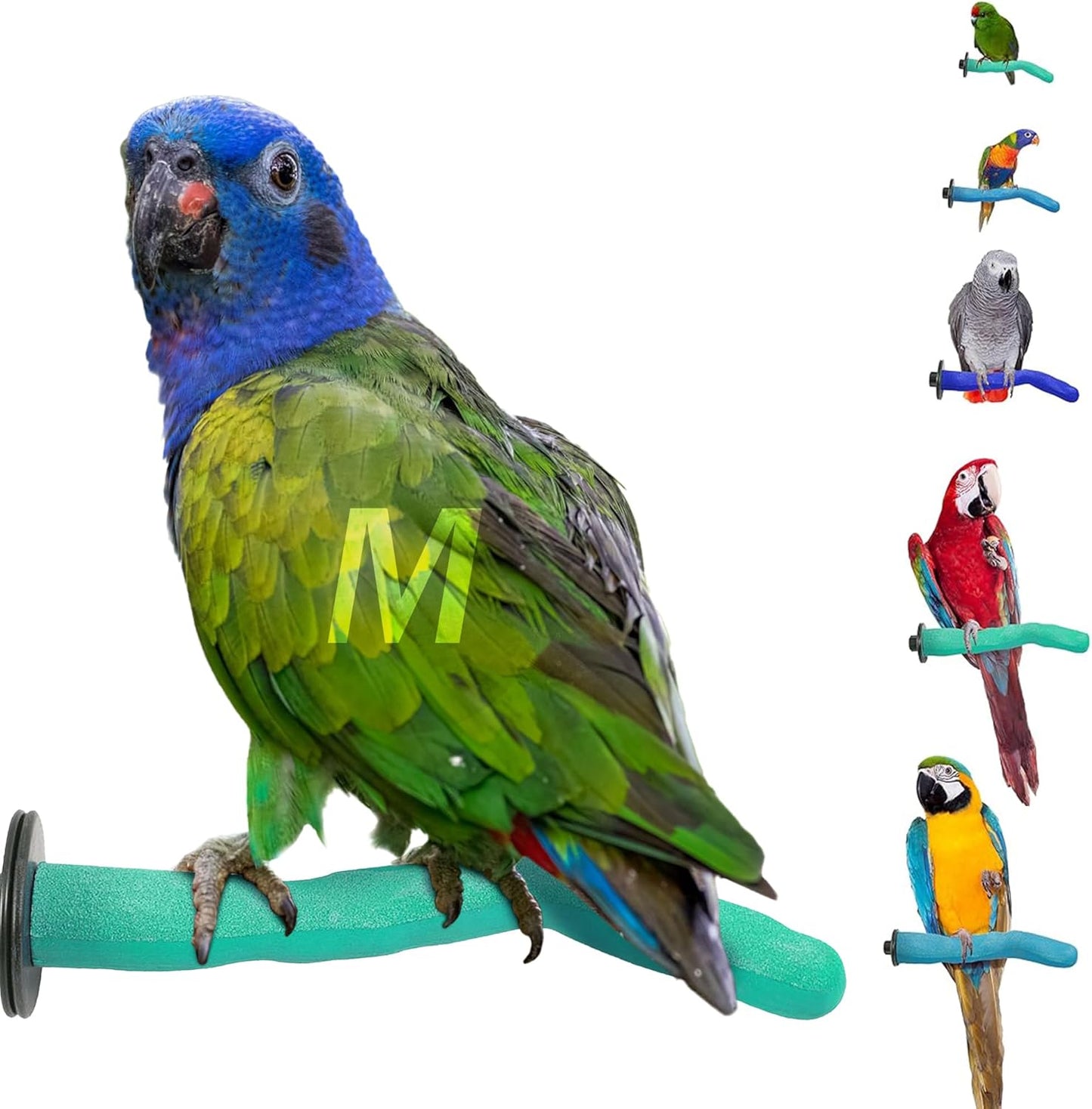 Sweet Feet & Beak Safety Pumice Bird Perch, Medium 1-1/4" X 12", Purple- Lightweight Grinding Bird Perches for Cage - Bird Nail Trimming Perch for Healthy Beak & Feet - Multi-Size & Color Parrot Stand