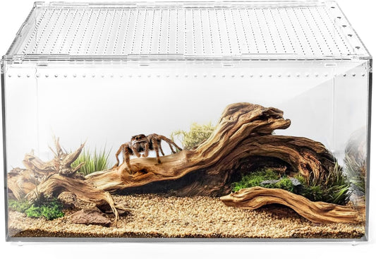 AZV Reptile Terrarium Tank,Versatile Enclosure for Leopard Crested Gecko,Lizard Cage,Spider Starter Kit,Hermit Crab Habitat,Tarantula Cribs,Perfect Aquarium for Snake,Frogs,Snails,Insects,Small Pets