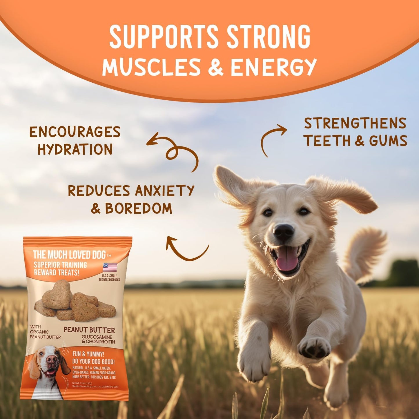 The Much-Loved Dog!™ Peanut Butter Dog Treats – Natural Biscuits for Small Dogs & Large Breeds – Healthy Puppy Treats for small dogs Made in USA, Training Snacks for All Breeds (3 Pack, Peanut Butter)