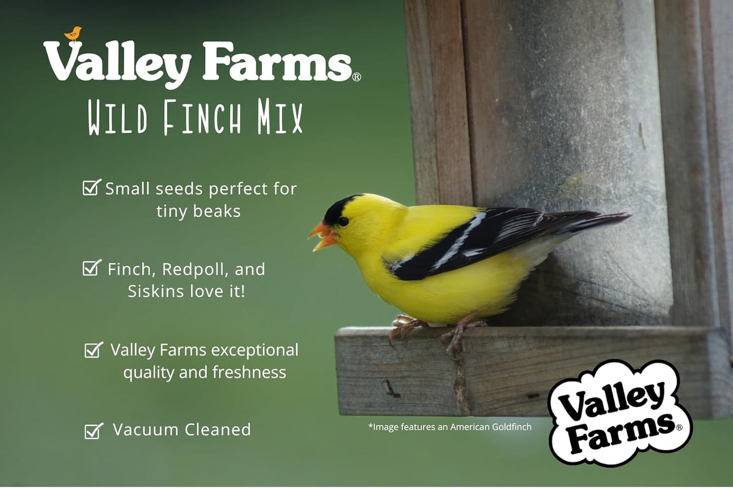 Valley Farms Wild Finch Mix (4 LB) Wild Bird Food for Outside Feeders, Wild Bird Seed with Millet and Chopped Sunflower Hearts for Birds, Finch Seed for Finch Feeders, Sunflower Kernels