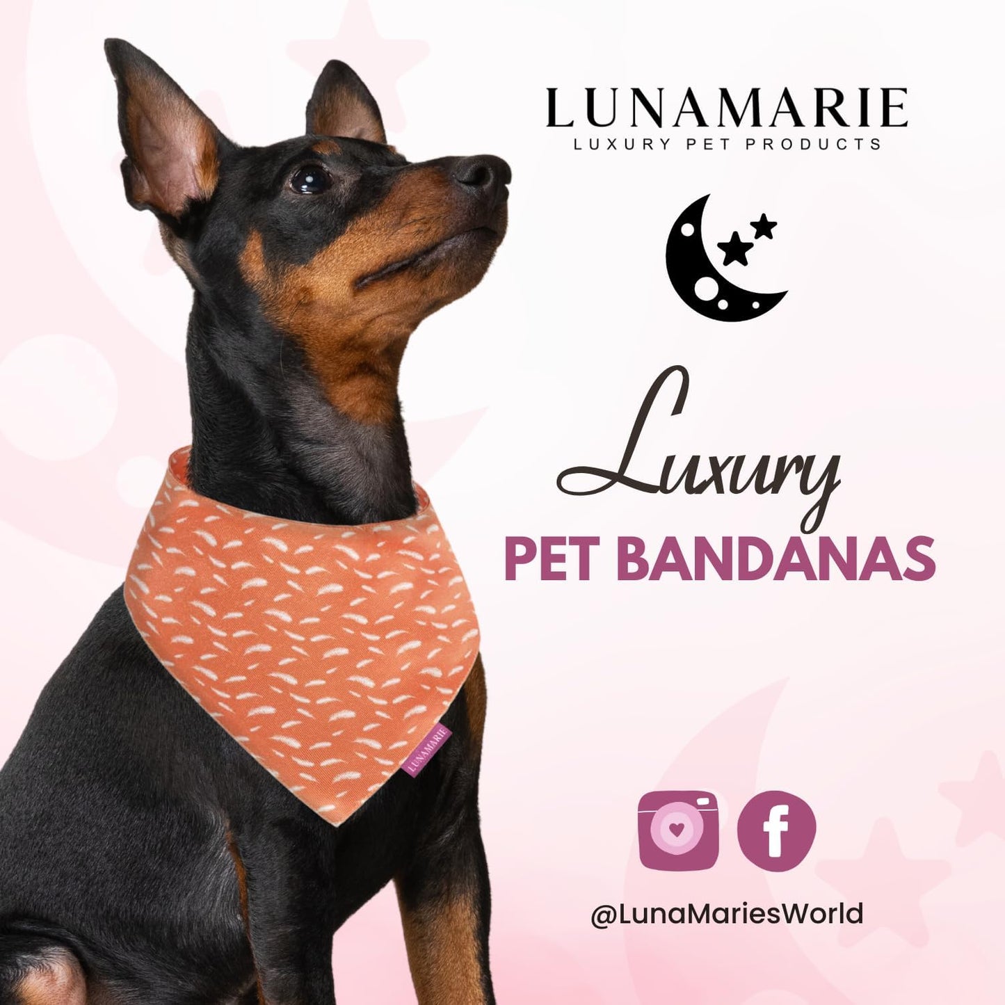 LunaMarie - Luxury Pet Birthday Bandanas -Premium & Silky Poly Fabric | 100% Handmade | Custom Shape Dual Layered (Orange Feathers, Medium)