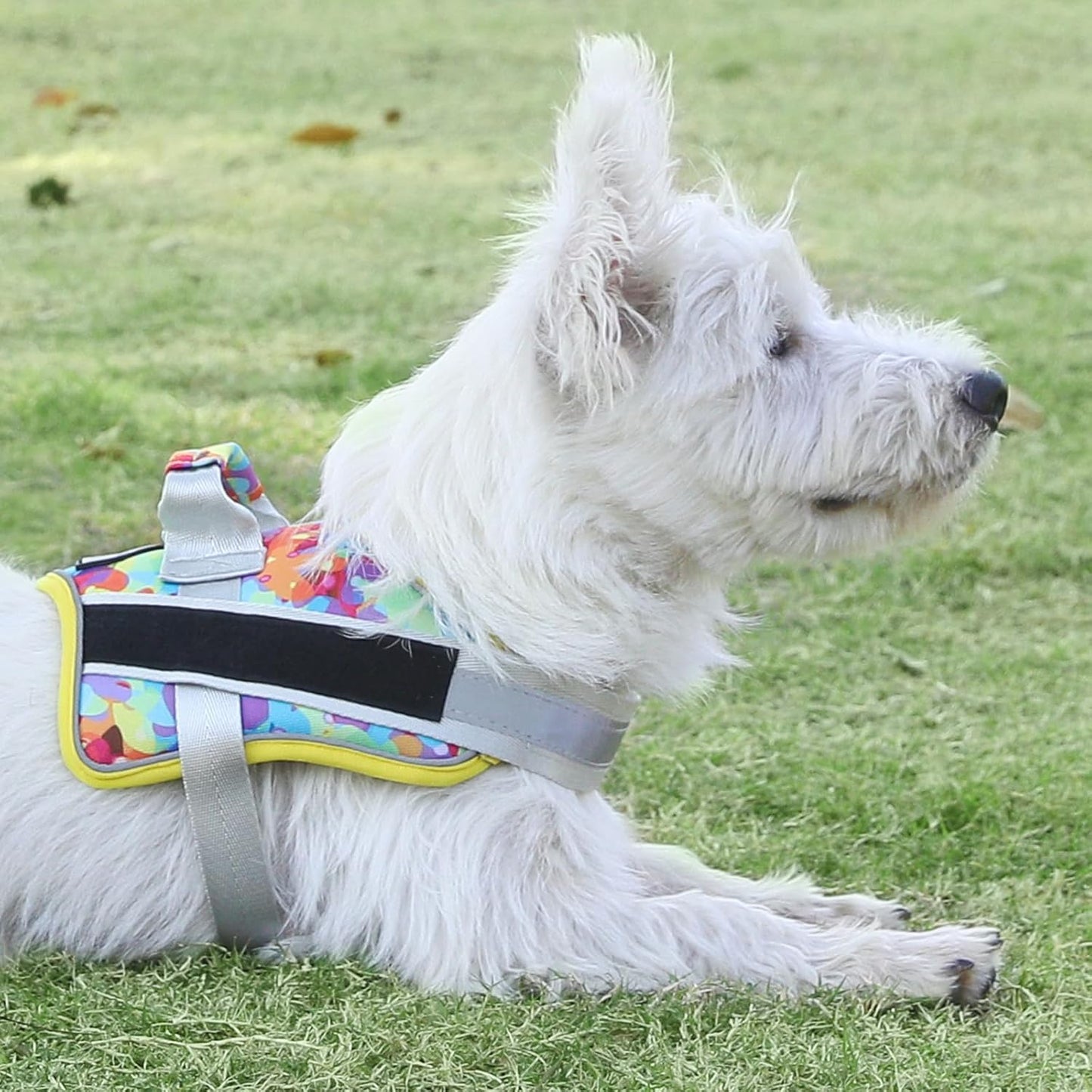 Bolux Dog Harness, No-Pull Reflective Dog Vest, Breathable Adjustable Pet Harness with Handle for Outdoor Walking - No More Pulling, Tugging or Choking (Large (Pack of 1), Watercolour)