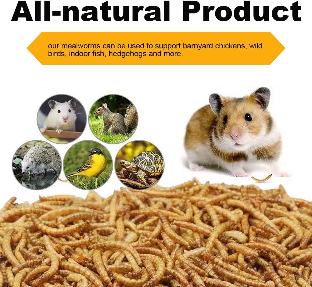 10lbs Mealworms, High-Protein Dried Mealworms for Birds, Chickens, Turtles, Fish, Hamsters and Hedgehogs, Non-GMO and Chemical Free, All Natural Animal Feed