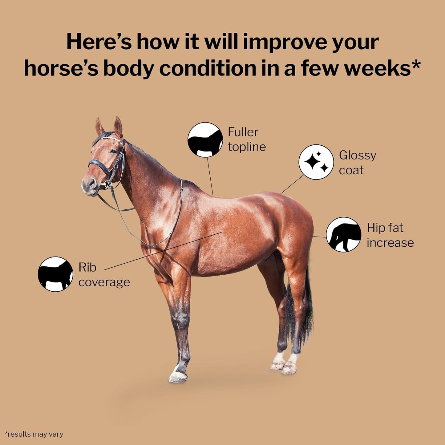 Formula 707 Weight Gain Equine Supplement, Daily Fresh Packs, 28 Day Supply - Palatable, Calorie-Rich Nutritional Support for Hard-to-Keep and Senior Horses