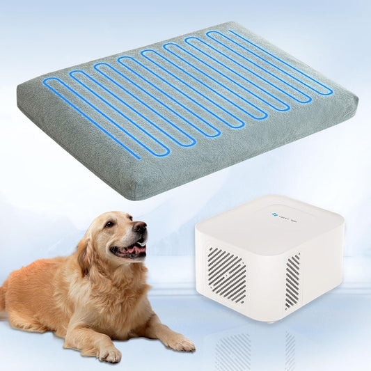 Pet Bed Cooling System, Consistent Cold Water Pad, No Refrigeration or Chemical Gel Needed, Machine Washable Bed, Ideal for Home and Crates (Cooling Green, 41" x 28")