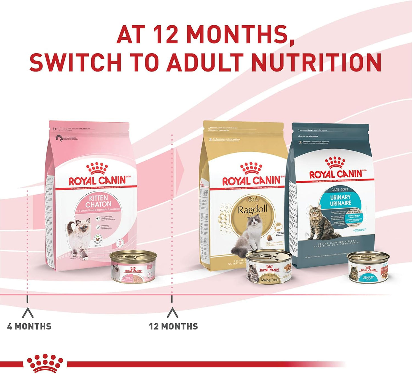 Royal Canin Feline Health Nutrition Kitten Loaf in Sauce Canned Cat Food, 3 oz can (Pack of 24)