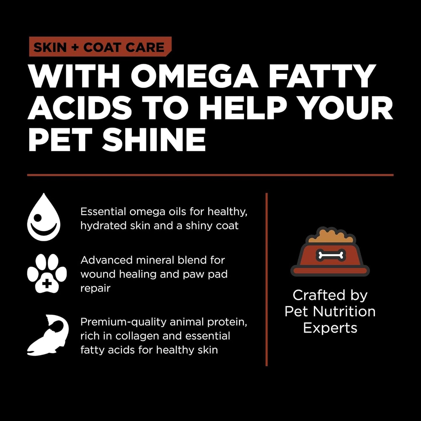 Go! Solutions Skin + Coat Care, Dry Dog Food, Large Breed Adult Salmon Recipe with Grains, 12 lb Bag