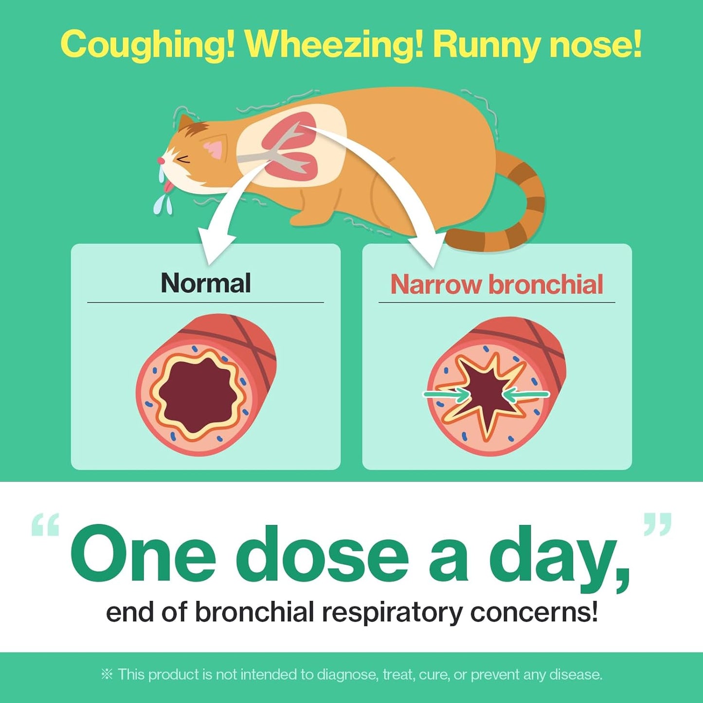 Dr.by Cat Breath Bronchial Supplements Cat Sneezing Treatment Asthma Cold Cough Nose Relief Respiratory&Immune Support with TF-343-30 lickable Formula Individually Packaged, Chicken (1 Pack (8.5OZ))