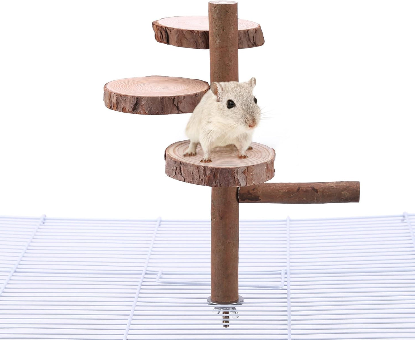 Natural Wood Bird Perch Stand Platform, Hanging Round Wooden Rotating Platform Pet Parrot Bird Cage Perches for Parakeet Parrots Cockatiel Hamster Gerbil Chinchillas(Round Platform)