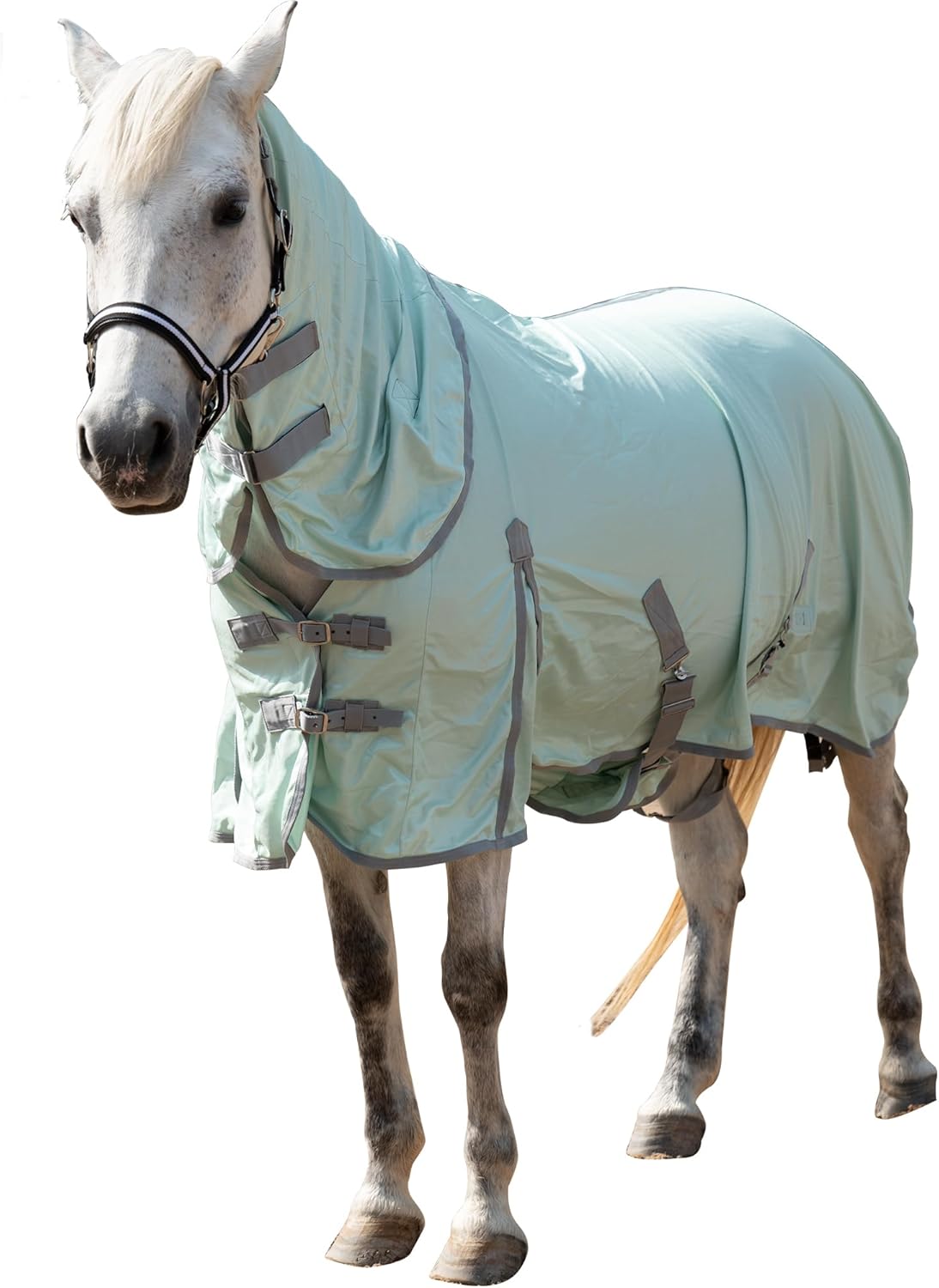 Horse Fly Sheet with Detachable Neck Cover & Belly Wrap, Adjustable Fly Sheet for Horses, Ventilated Airflow Mesh Equine Cooling Summer Flysheet Green 72