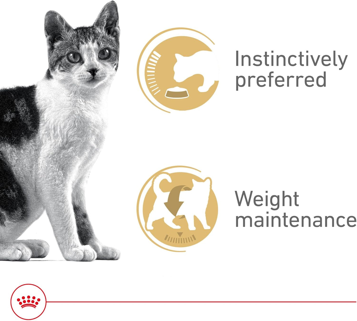 Royal Canin Adult Instinctive Thin Slices in Gravy Wet Cat Food, 3 oz can (12-count)