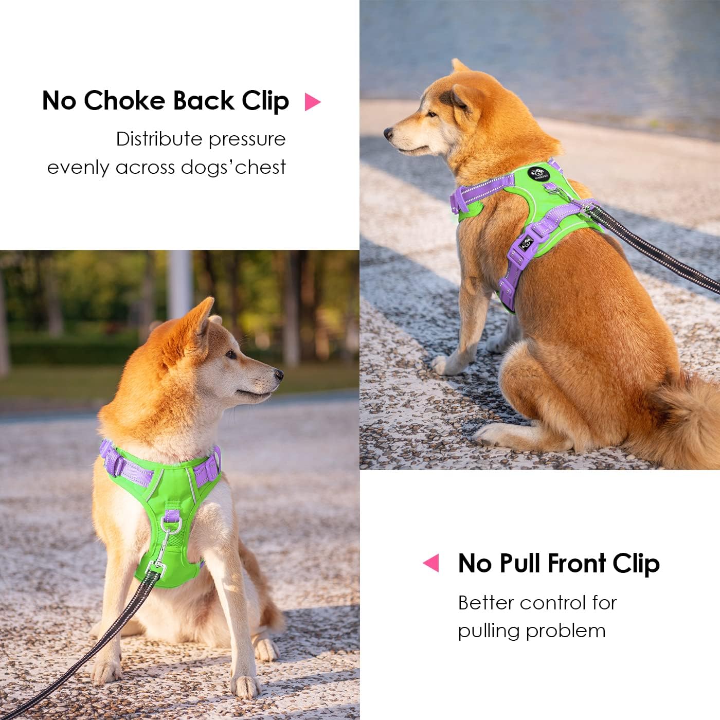 PHOEPET No Pull Dog Harness, Unique Colors Reflective Adjustable Dog Vest, with Soft Training Handle Metal Clips for Small Medium Large Dogs (Green Base & Purple Straps,S)