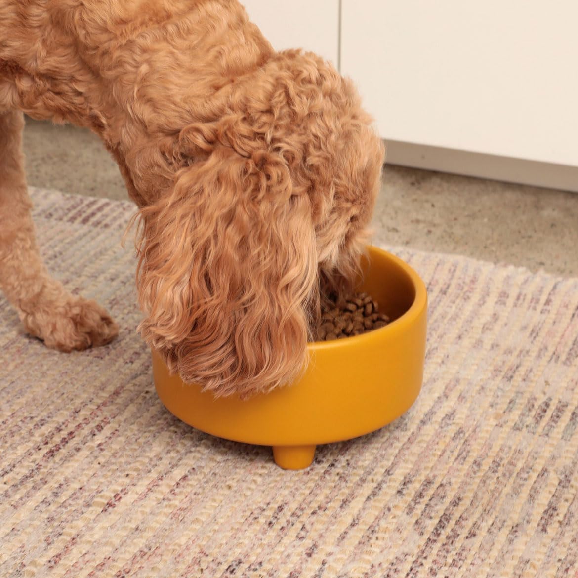 Waggo Uplift Ceramic Dog Bowl for Small Medium and Large Breeds - Heavyweight and Durable Pet Food and Water Dish Crock, Dishwasher Safe, Modern, Elevated Feeder (Olive, Small)