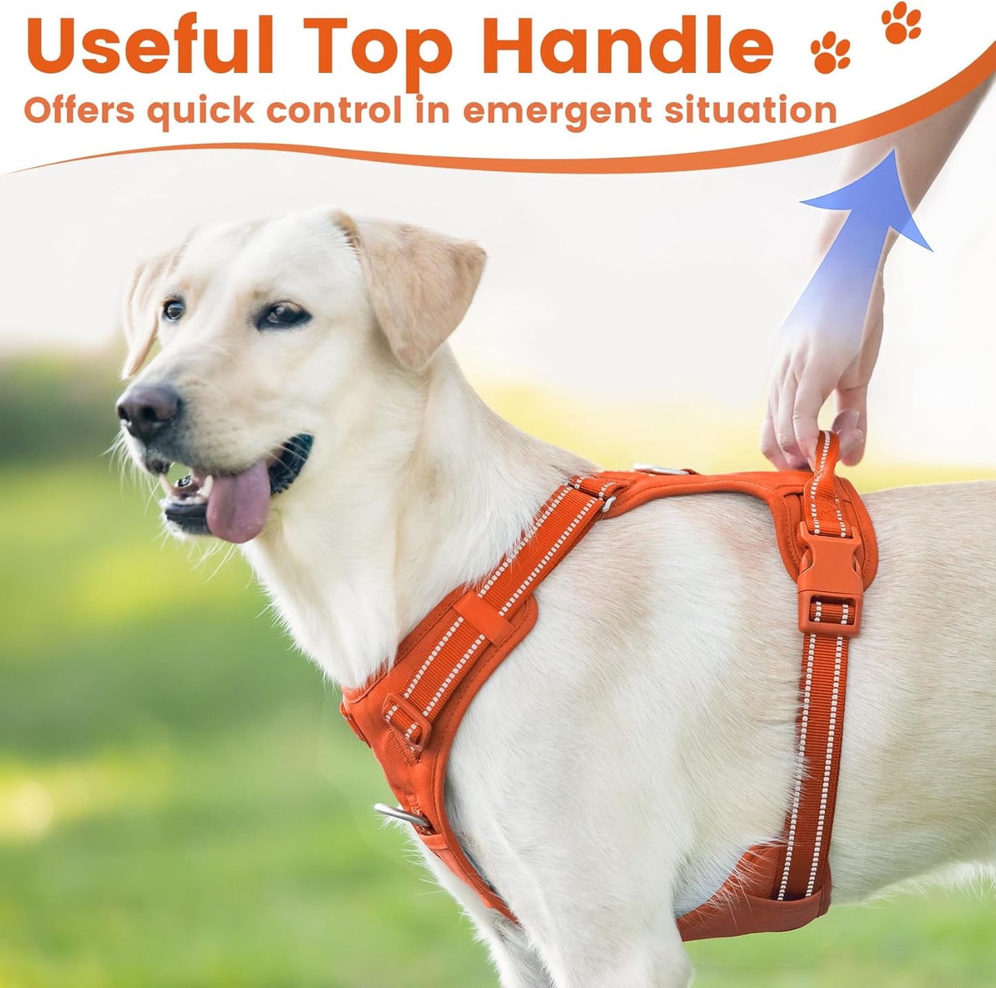 No Pull Dog Harness, Reflective Puppy Vest for Small Medium Large Sized Dog(Orange,M)
