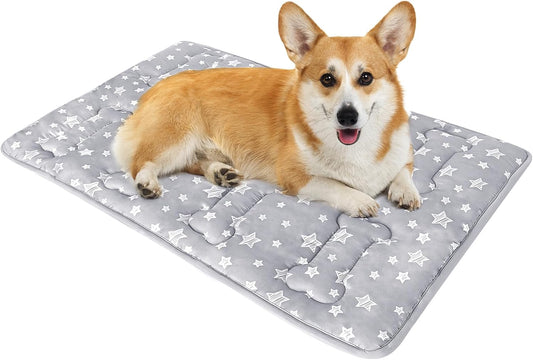 Dog Crate Mat (30" X 19"), Soft Dog Bed Mat with Cute Prints, Personalized Crate Pad, Anti-Slip Bottom, Machine Washable Kennel Pad
