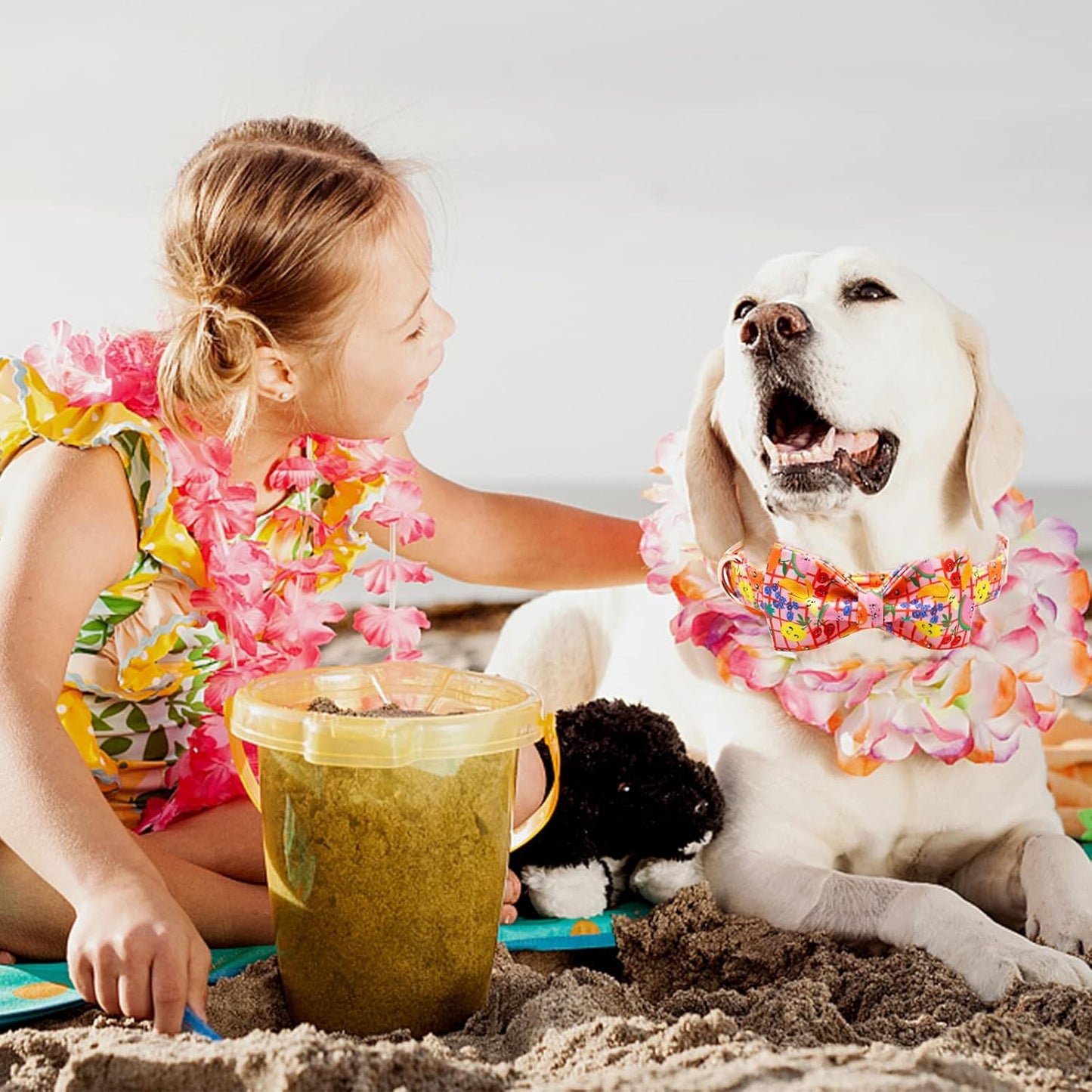 Elegant little tail Dog Collars with Bow - Fruit Print Dog Collar Cute Bowtie Girl Boy Pet Collar for X-Small Puppy