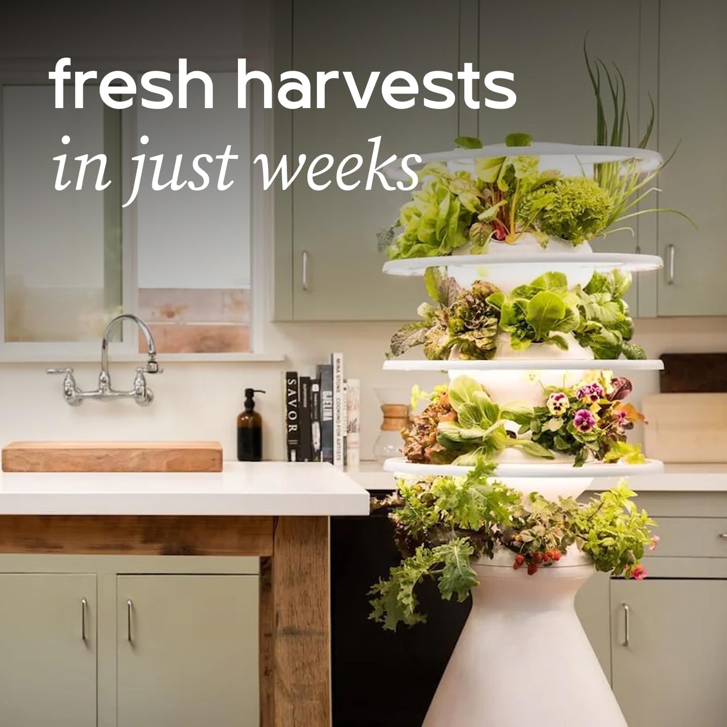 Farmstand Starter Kit with Glow Rings and 12 Seedling Credits | Tiny Hydroponic Growing System Kit | Vertical Garden Planter Tower | 3ft 8in Tall