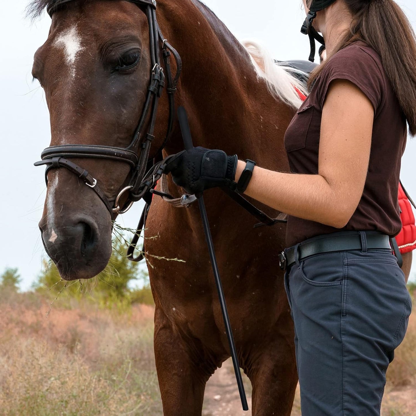 18-inch Horse Riding Crop 2-Piece Set, Black