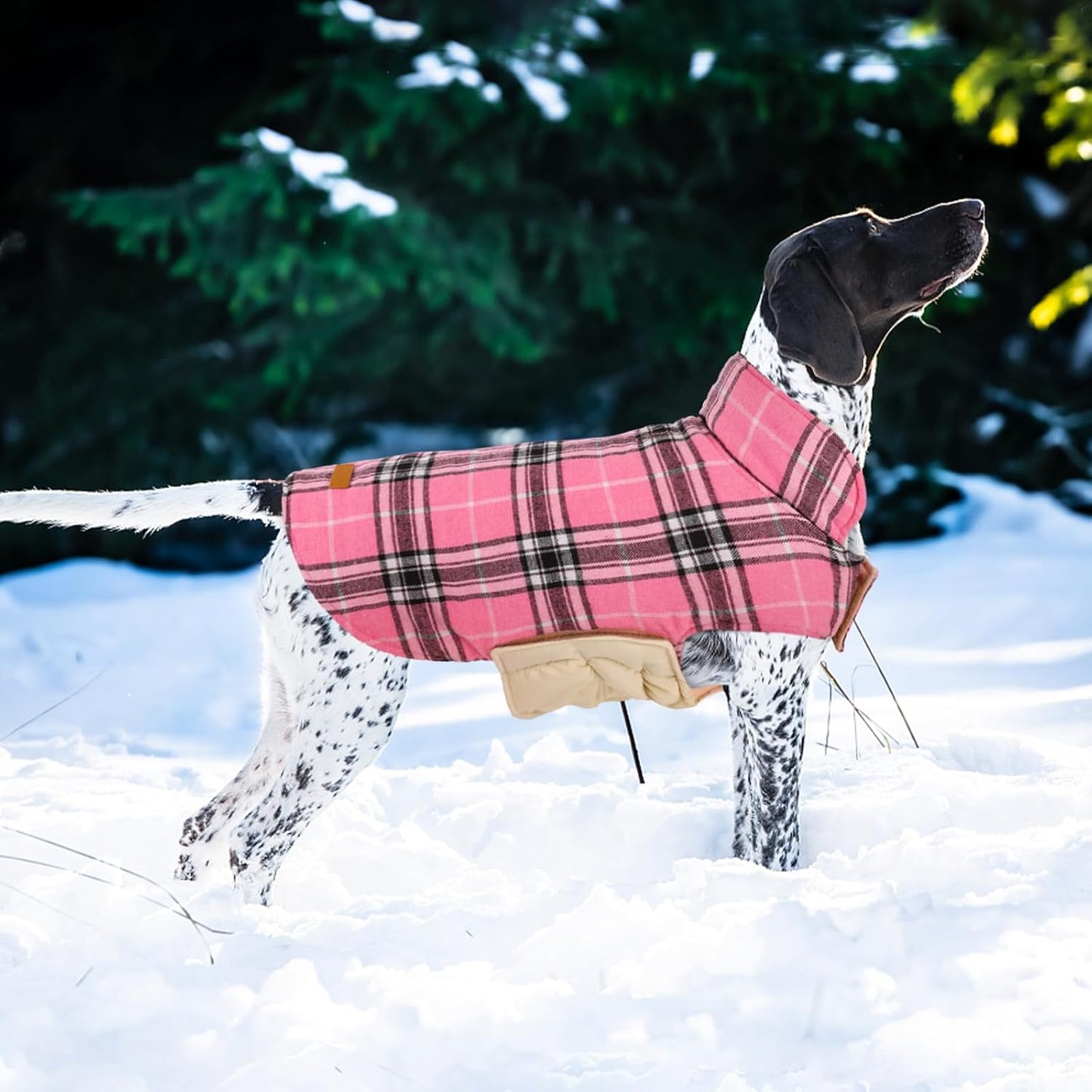 Kuoser Waterproof Dog Coat, Reversible Dog Jacket for Medium Dogs, Adjustable Durable Doggie Winter Coat Warm Puppy Cold Weather Apparel from Small to Large Breed, Pink M