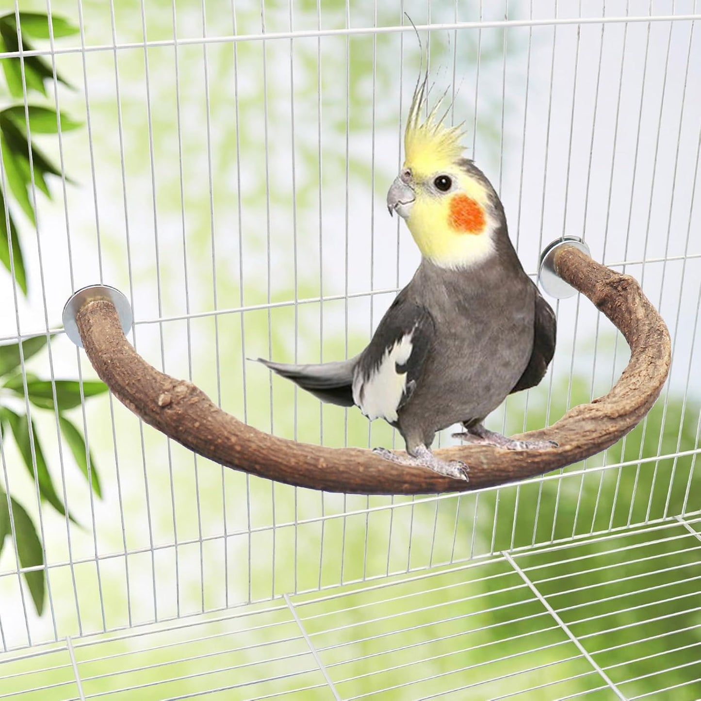 2 Pack Bird Perch Stand, Natural Wood U Shape Parrot Stand Pole, Bird Cage Accessories, Suitable for Small to Medium Birds Parakeets Cockatiels Budgie Lovebirds