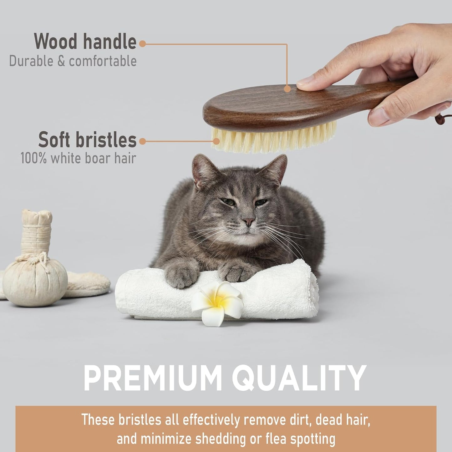 Takavu Natural White Boar Bristle Cat Brush - Gentle Grooming Tool for Sensitive Skin, Smoothing Fur & Healthy Shine - Soft Pet Brush