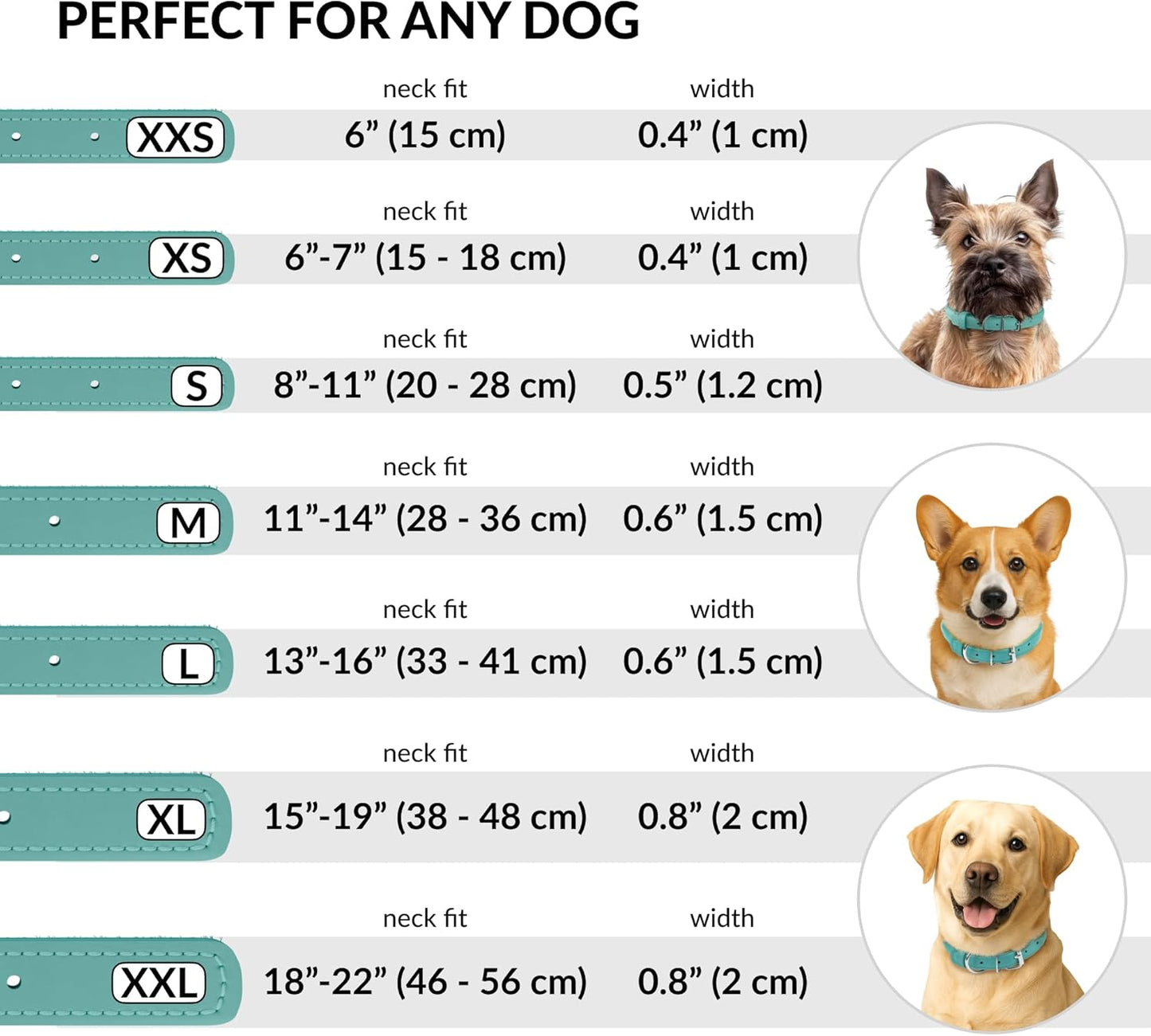 CollarDirect Rolled Leather Dog Collar, Soft Padded Round Puppy Collar, Handmade Genuine Leather Collar Dog Small Large Cat Collars 13 Colors (13-16 Inch, Mint Green Smooth)