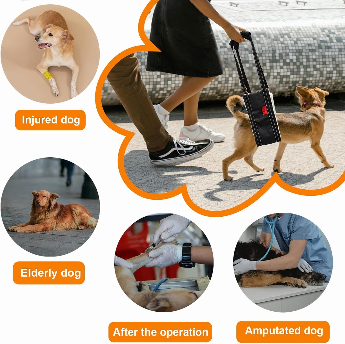 Dog Lift Harness - Adjustable Sling for Rear Legs with Soft Support for Senior, Injured, Disabled Dogs After ACL Surgery - Helping Pets with Canine Aid and Rehab Support (M)
